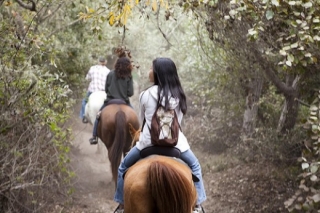 Paseos a caballo